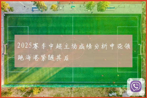 2025赛季中超主场成绩分析申花领跑海港紧随其后
